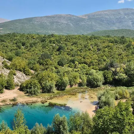 Blage Knin